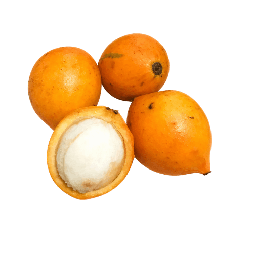Garcinia