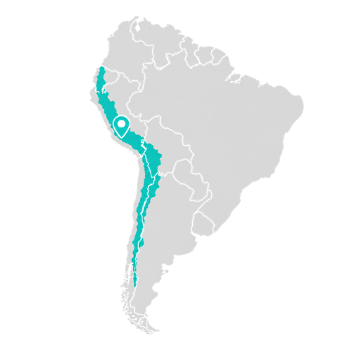 The Andes & Cloud Forests