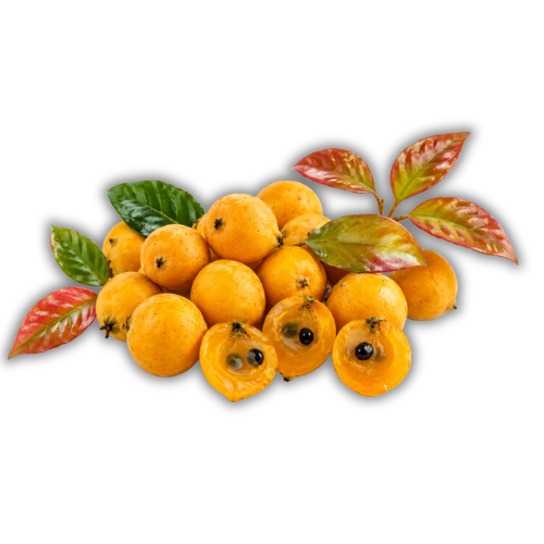 pereskia aculeata